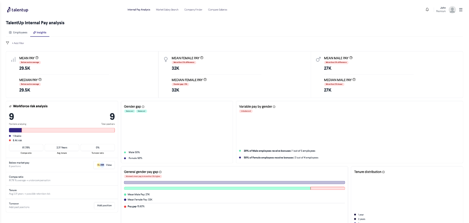 Internal Pay Analysis Insights tab showing mean pay, gender gap, workforce risk analysis, and pay gap per level