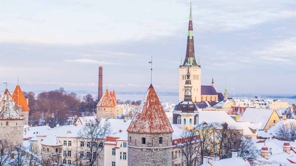 Taxes and payrolls: analyzing the labour market in Estonia