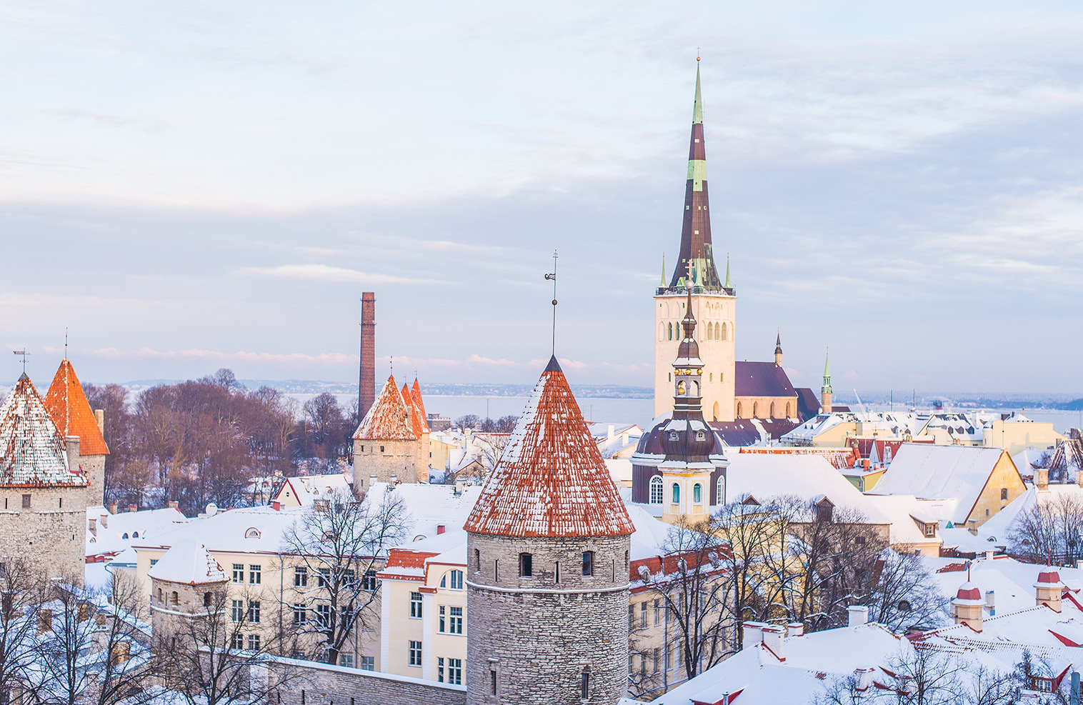 Taxes and payrolls: analyzing the labour market in Estonia